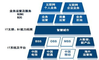 天源迪科（300047）更新研究報告 聚焦政企與運營商雙輪驅(qū)動，深化軟件外包服務(wù)布局